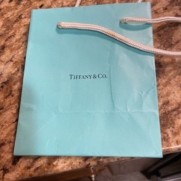 Authentic Tiffany & Co 1837. 925 Sterling Silver 1” oval pendant on 18” chain. - Picture 12 of 16